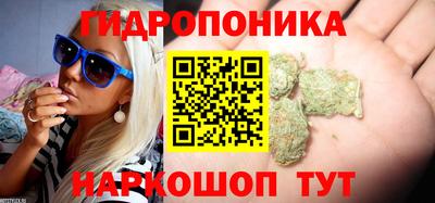 меф Дубна